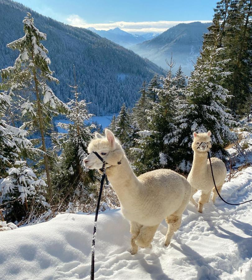拉姆绍达赫斯坦 格朗德奈霍夫生物旅馆旅馆 外观 照片